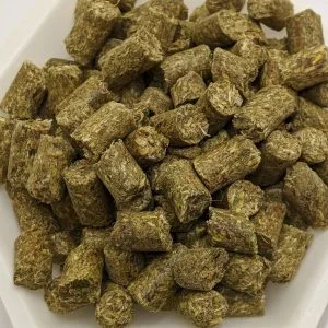 Small-cut Oat Grass, carefully sourced by Kapidolo Farms, is a wholesome addition to your tortoises' diet, now available for Bonsall, California tortoise enthusiasts.