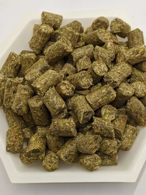 Small-cut Oat Grass, carefully sourced by Kapidolo Farms, is a wholesome addition to your tortoises' diet, now available for Bonsall, California tortoise enthusiasts.