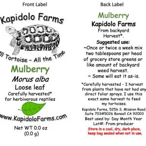 Barley Grass, available at Kapidolo Farms, is a nutritious choice that tortoises love, now accessible to Bonsall, California tortoise owners.