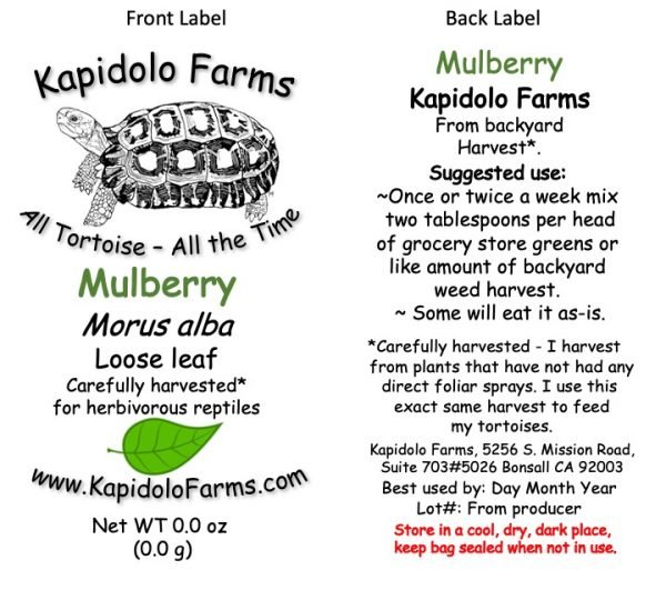 Barley Grass, available at Kapidolo Farms, is a nutritious choice that tortoises love, now accessible to Bonsall, California tortoise owners.