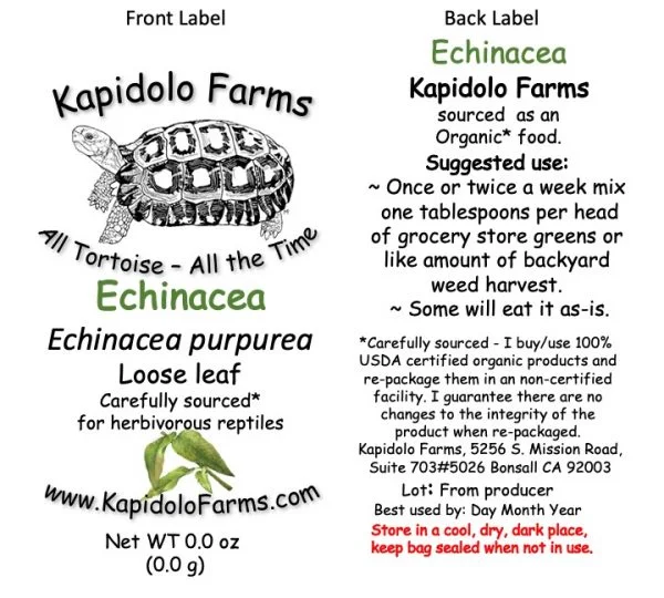 Tortoise food Echinacea
