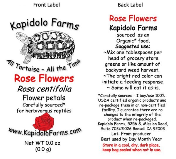 Kapidolo Farms' large-cut Oat Grass, featuring milky oats, is a nutritional powerhouse for tortoises.