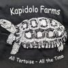 Barley Grass, available at Kapidolo Farms, is a nutritious choice that tortoises love.