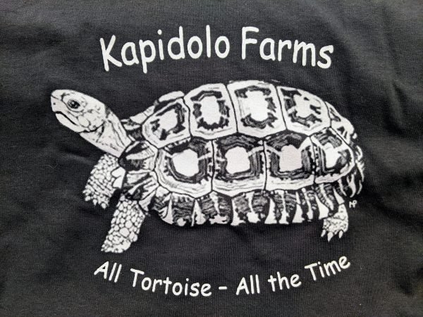 Barley Grass, available at Kapidolo Farms, is a nutritious choice that tortoises love.