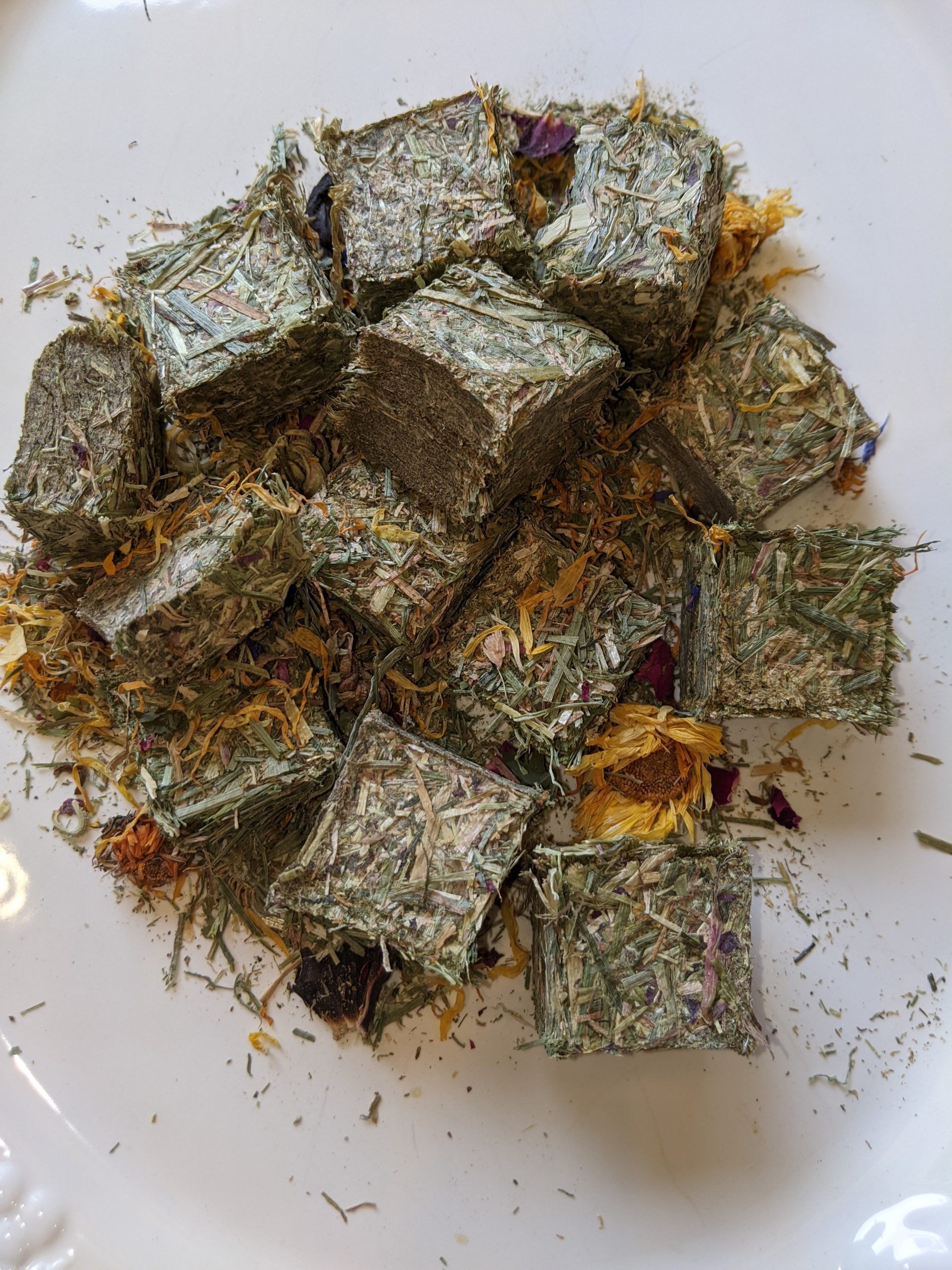 Ginkgo in loose leaf form, from Kapidolo Farms, offers a unique dietary option for tortoises.