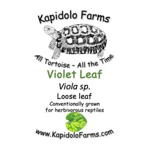 Kapidolo Farms logo with a turtle, text reads All Tortoise – All the Time, Violet Leaf (Viola sp., loose leaf) for herbivorous reptiles; website www.KapidoloFarms.com